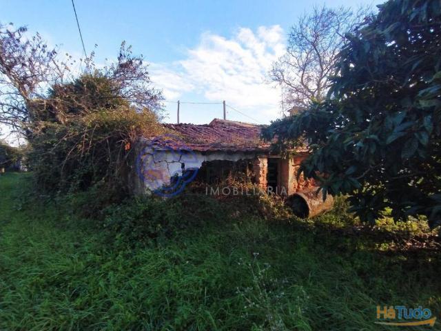 Terreno com ruína para reconstruir na cidade de Tomar no Centro de Portugal | 26063926002