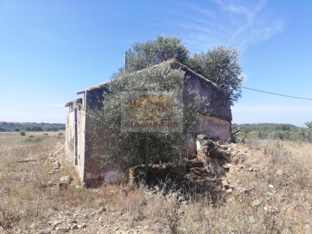 Terreno com ruína para reabilitar Vista mar