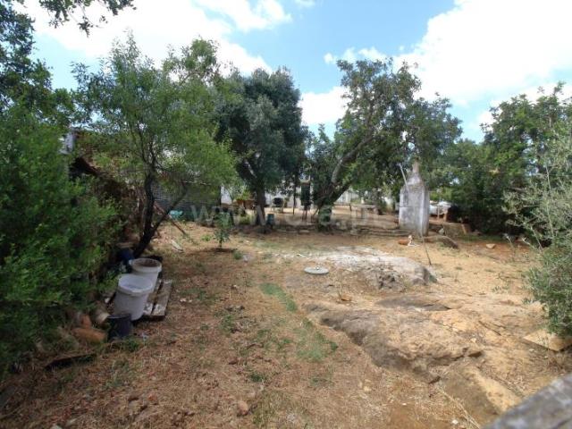 Terreno com Ruína, Santa Bárbara de Nexe, Faro | BPI Expresso Imobiliário