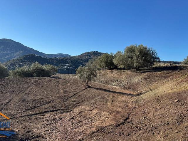 Terreno, Comares
