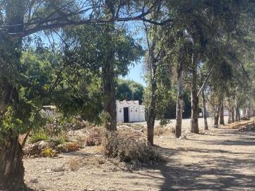 Terreno Comercial Atlixco