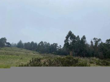 TERRENO COMERCIAL EL QUISCO 70000M2