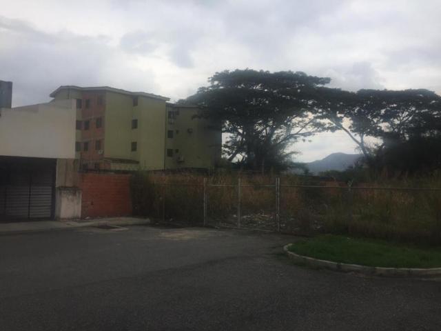 TERRENO COMERCIAL EN AV JULIO CENTENO TCL T 7223816