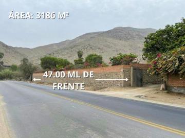 Terreno Comercial en Esquina frente a la Av. Túpac Amaru – Carabayllo