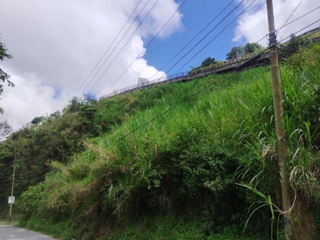 Terreno comercial o industrial en Carrizal