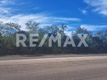 Terreno comercial o residencial sobre carretera a Motul km 27, Muxupip Yucatán 4