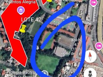 Terreno comercial San Pedro M?rtir