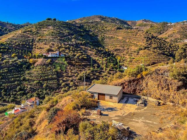 Terreno, Competa