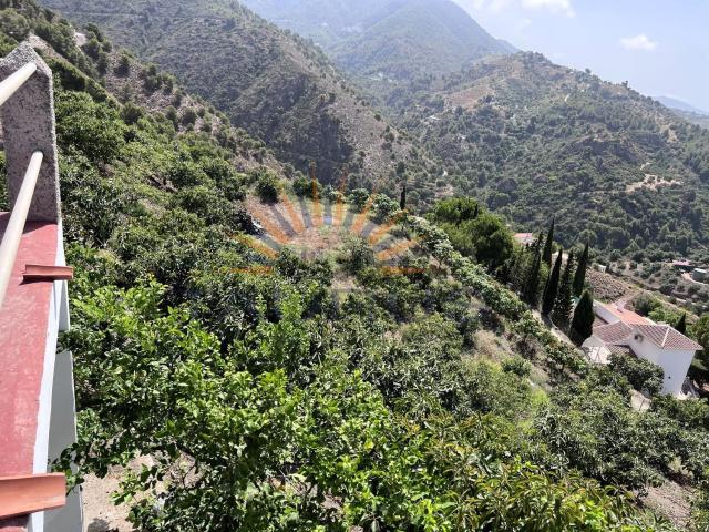 Terreno, Competa
