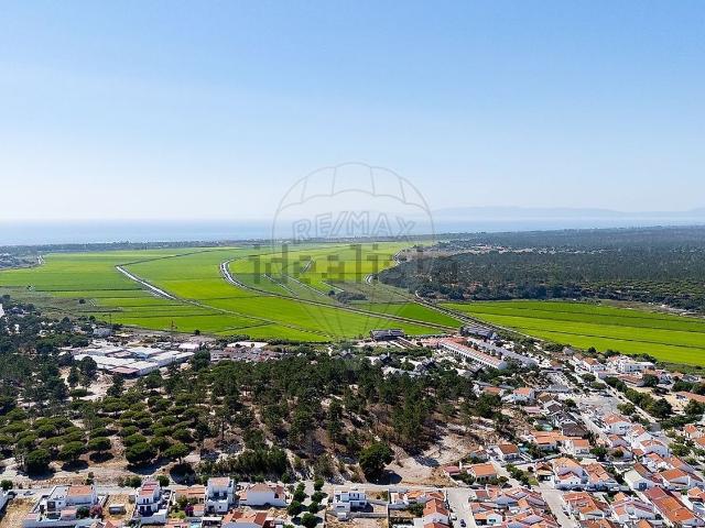 Terreno, Comporta
