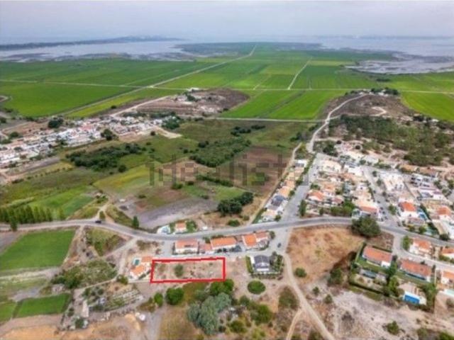 Terreno, Comporta