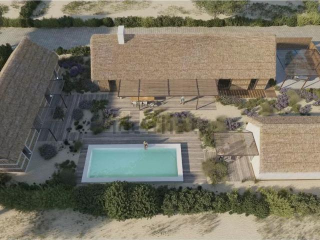 Terreno, Comporta