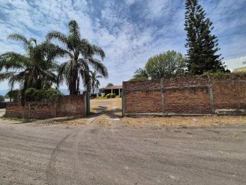 Terreno con terraza para eventos en Buenavista Jalisco