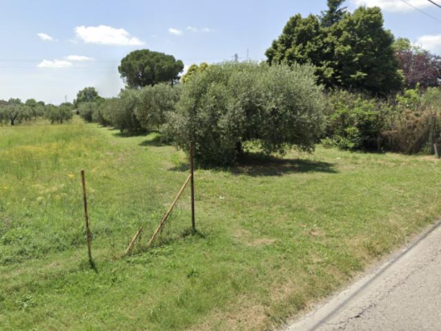 TERRENO CON ULIVI IN VENDITA A CIVITA CASTELLANA