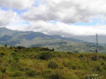Terreno Con Vista A La Montaña De 1 Hectárea Junto A Lucero
