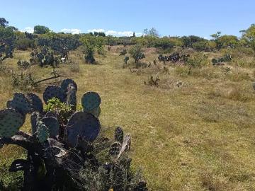 Terreno con Vista al Valle en Santa Lucía, San Juan del Río
