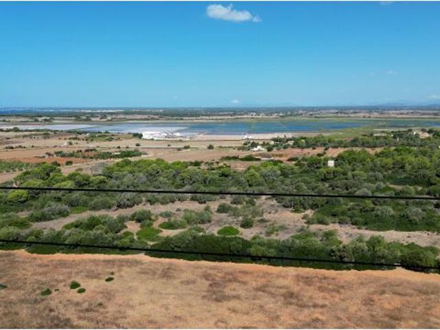 Terreno con vistas a las salinas d’Es Trenc
