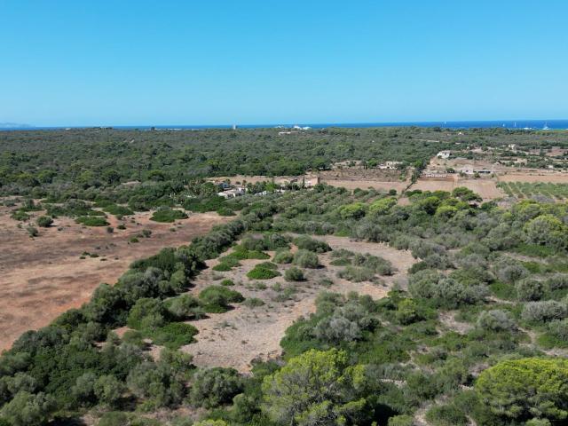 Terreno con vistas a las salinas d’Es Trenc