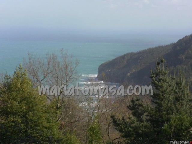 Terreno con vistas al mar en Arboliz, Ibarrangelu – Oportunidad única