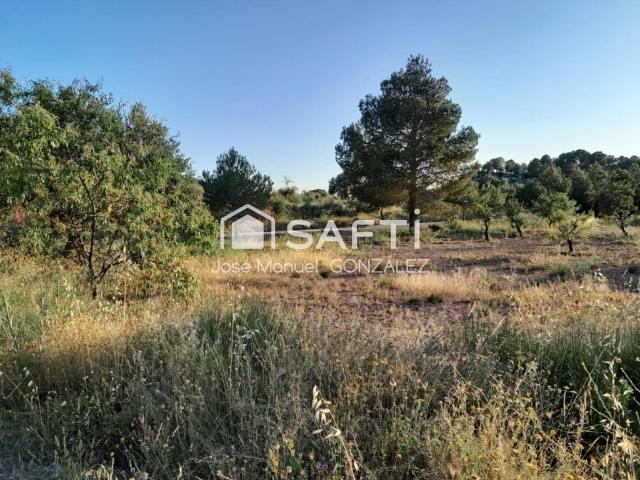 Terreno con Vistas Inmejorables y Ubicación Privilegiada