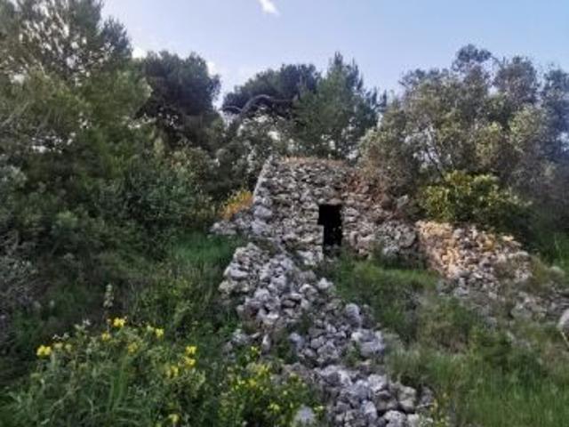Terreno con antica pajara