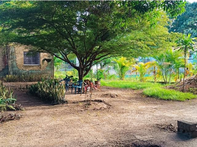 TERRENO CON BIENHECHURIAS VIA LA PICA VE02 1621VLP MTRU
