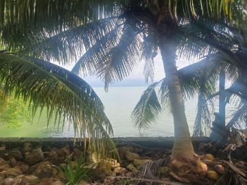 TERRENO CON CASA EN LA BAHIA DE CHETUMAL