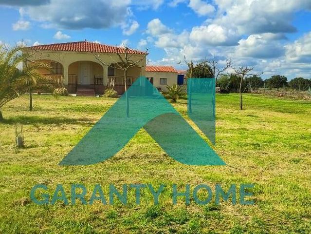 ¡TERRENO CON CASA EN PARAJE LA TRIGUERA – ALCUÉSCAR! ✨