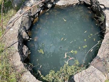 Rancho en venta en Hondiga, Acambay, Estado De México