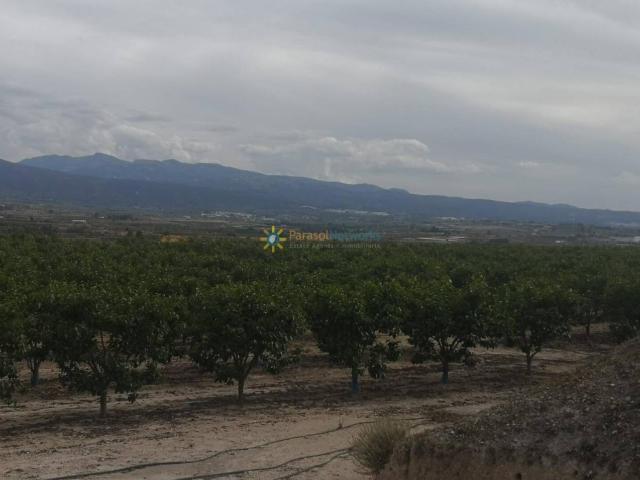 Terreno con casita a la venta en Beniganim