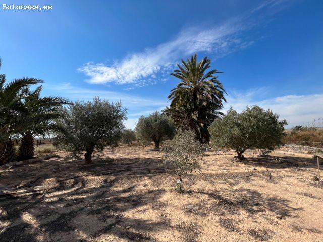 Terreno con Casita en Valverde Bajo Santa Pola