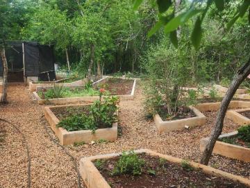 TERRENO CON CENTRO CEREMONIAL EN VENTA EN CHICHIMILA YUCATAN