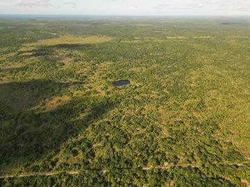 TERRENO EN VENTA CON CENOTE EN M?RIDA YUCAT?N | 151 HECT?REAS PARA DESARROLLO E INVERSI?N