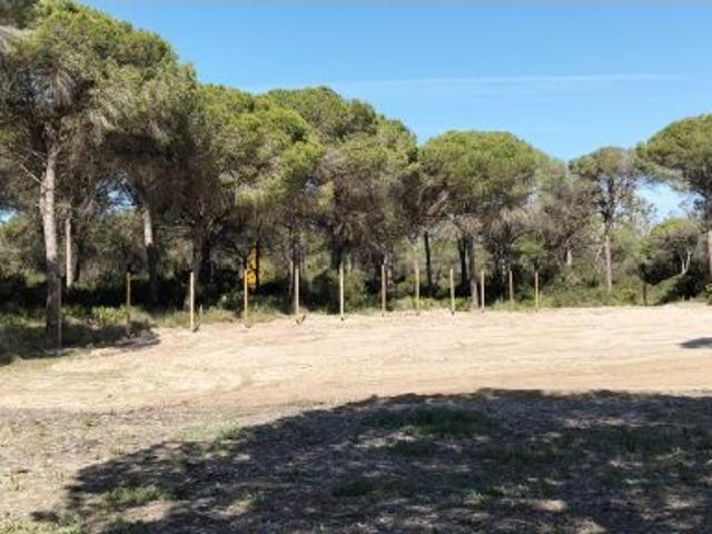 TERRENO CON CONSTRUCCIÓN EN PINAR DE HIERRO