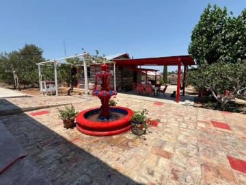 Terreno con Construcción en Venta en La Rumorosa: Ideal para Cabaña, Descanso o Proyecto Recreativo