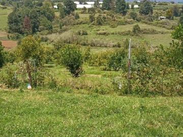 Terreno con escrituras en estado de méxico mas de 7,000 m