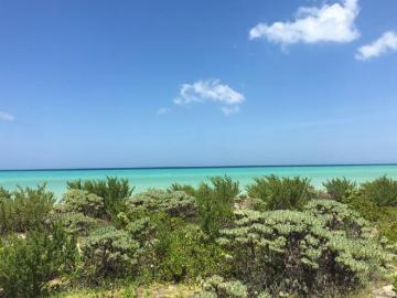 TERRENO CON FRENTE DE PLAYA EN CELESTÚN, YUCATÁN 50 ML