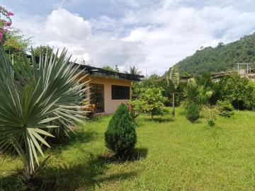 Terreno con Potencial Turístico en Tingo María –¡Oportunidad de Inversión!