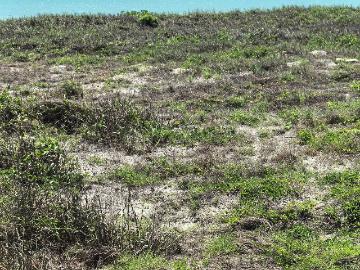 Terreno con playa y estero