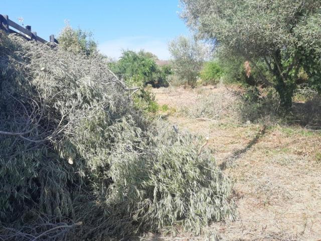 Terreno con proyecto y estudios incluidos