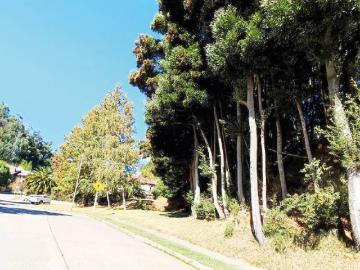 TERRENO CON PROYECTO APROBADO EN SECTOR DE VILLUCO