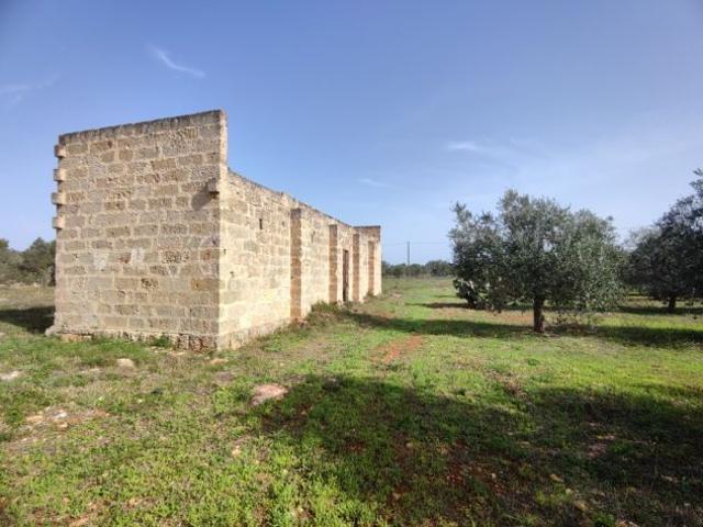 Terreno con progetto di villa con piscina