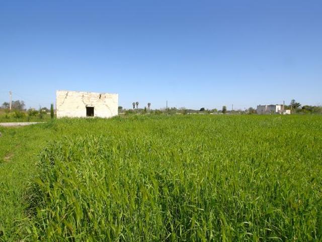 Terreno con rudere