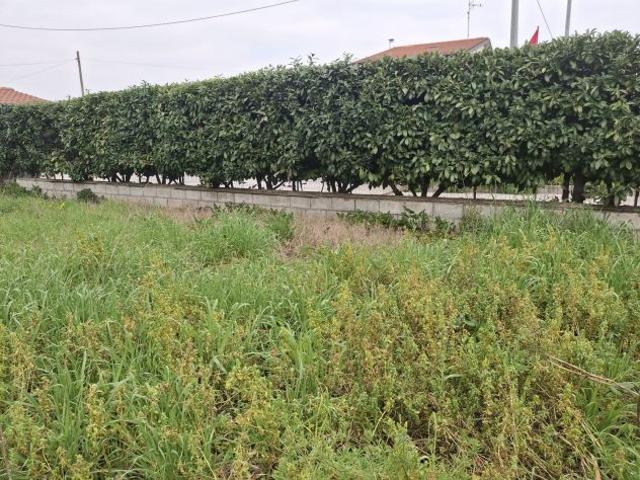TERRENO CON RUDERE VIA MORELLI E SILVATI BENEVENTO