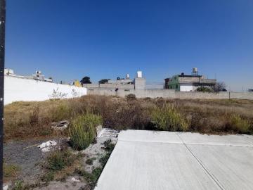 TERRENO CON SERVICIOS SN SALVADOR T. METEPEC