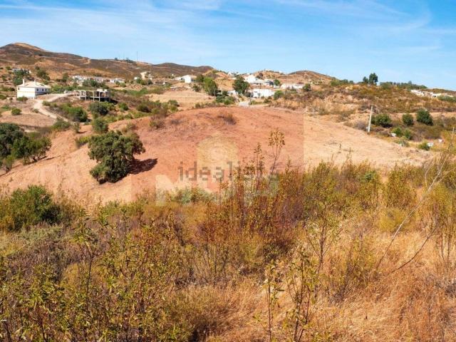 Terreno, Conceição