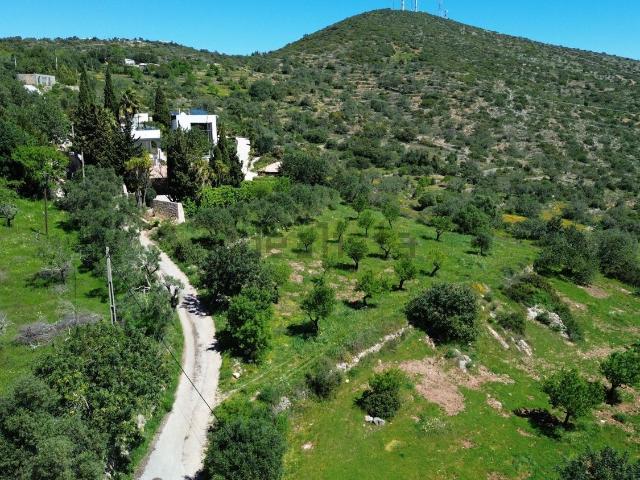 Terreno, Estoi