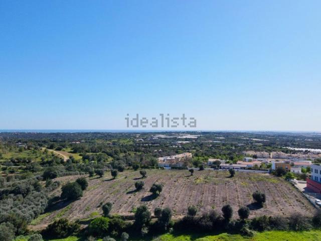 Terreno, Estoi
