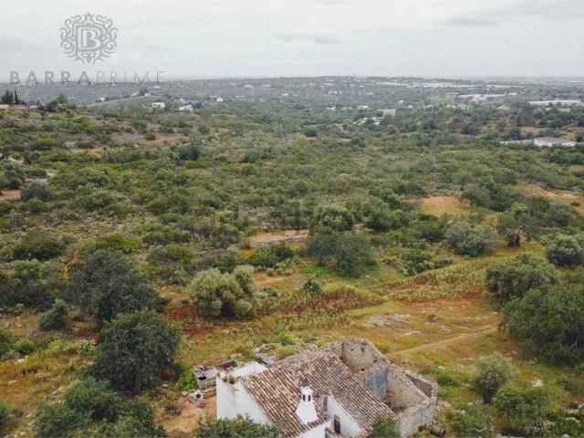 Terreno, Estoi