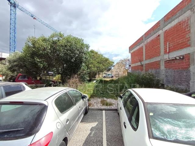 Terreno, Conceição